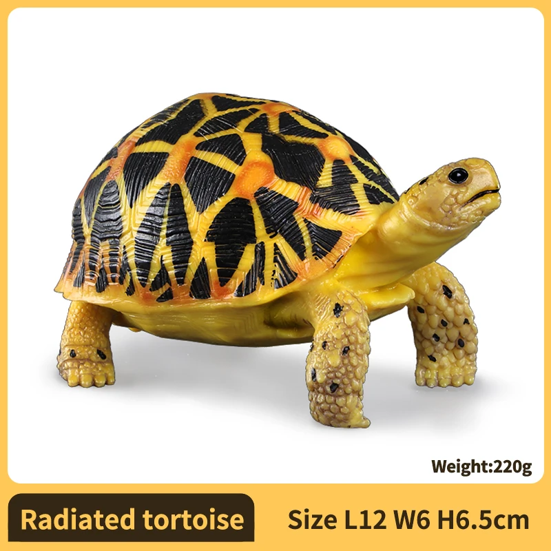 PVC-schildpadfiguren Dierenvorm Gedetailleerde sculptuur Ster-schildpadmodelfiguren Actiefiguren Voor educatief doel