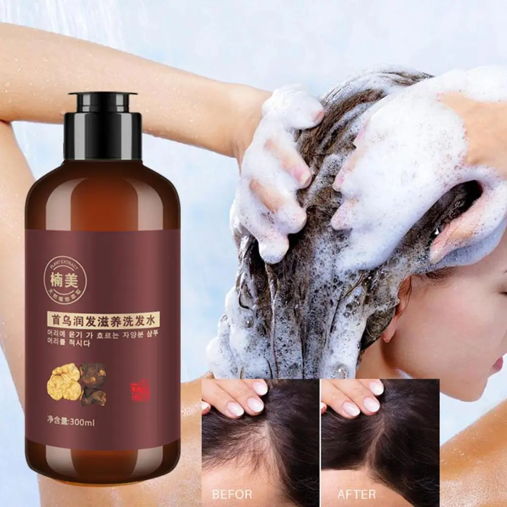 Poligonum-champú de tinte Natural para el cabello, aceite refrescante para el cuidado de los hombres y mujeres, cobertura nutritiva blanca, Control del cabello, H0W6