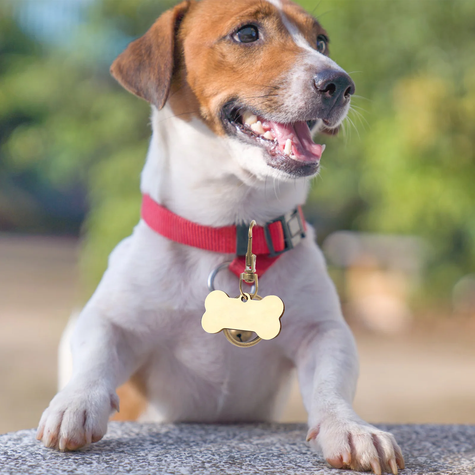 

60Pcs Zinc Alloy Bag Buckle Key Rings Metal Keychain Buckle Durable for Car Keys Home Keys Dog Tags DIY Craft Project