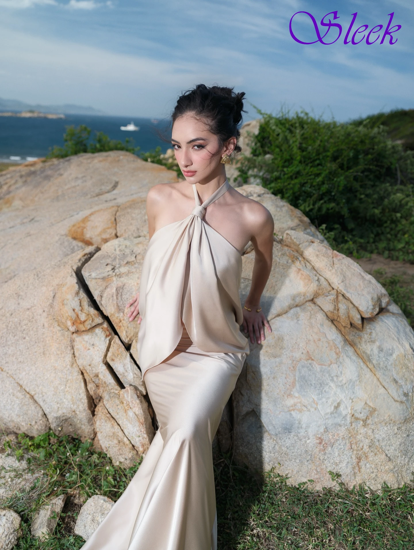 

Customized Straight Halter Elegant Formal Evening Dress and Fashion Temperament Party Gowns High Quality Delicate Prom Dress