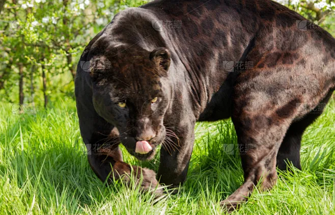 

4 шт. 1,9-дюймовые алюминиевые диски Beadlock для модернизации радиоуправляемых краулеров Axial SCX10, TRX4, 90046, аксессуары