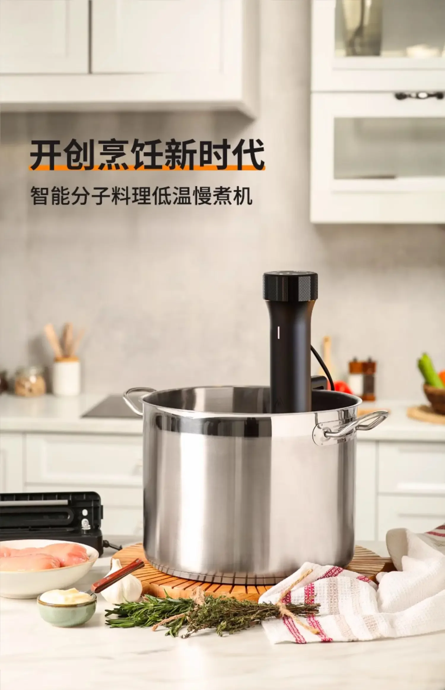 110V/220V Wevac Sou…