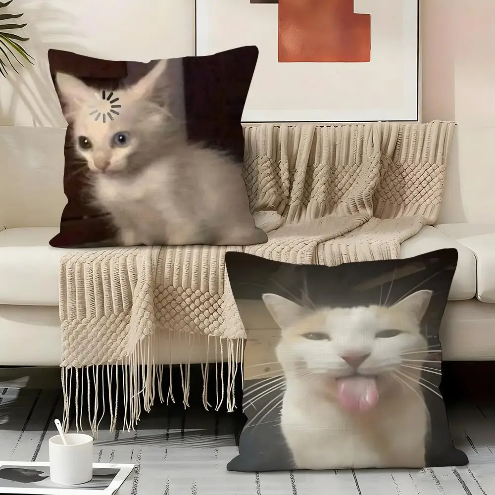 Cat Funny MEME Pillow Case Pillowcase, Double-sided Printed, Sofa Cushion, Bedroom Headboard Pillow