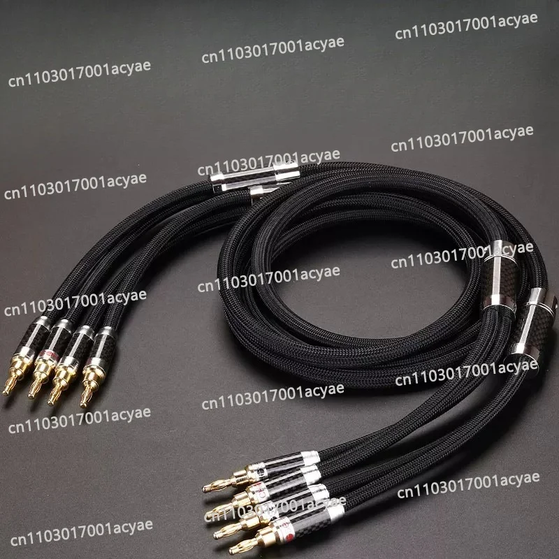 6N OCC Audiophile HIFI Speaker Cable 24K Gold-plated Banana Plug Top Level Speaker Cable 25MMx2.5M LA-5101