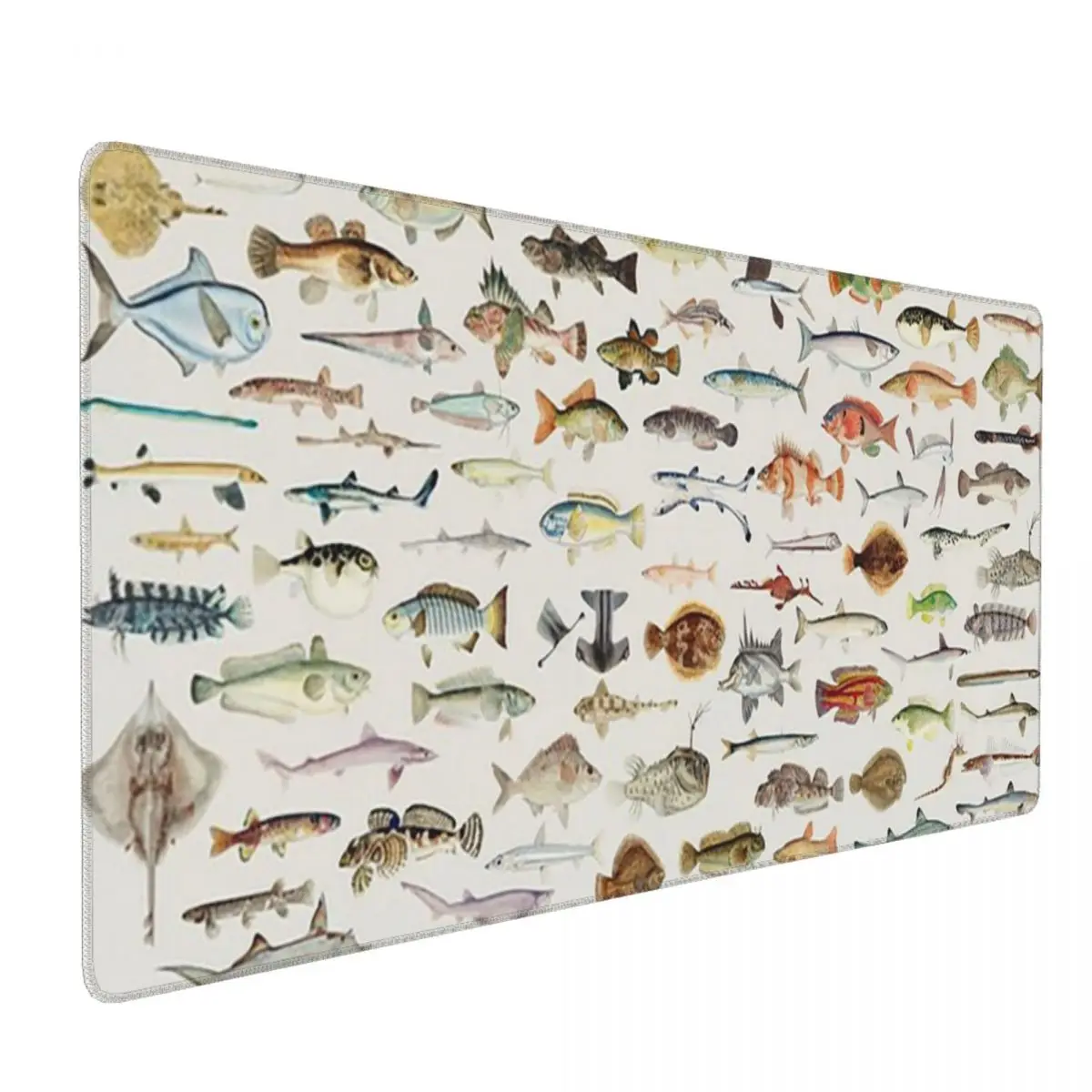 Fish Chart Large Mouse Pad Computer Keyboard Mouse Mat Gaming PC Laptop Desk Mat Office Accessories Table Mats