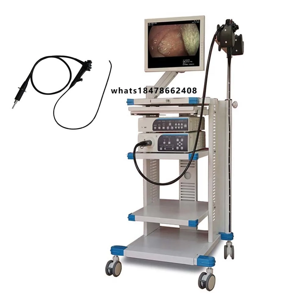 Promotional Price Gastroscope Colonoscope Animal Special Medical Gastrointestinal Endoscope System Endoscope