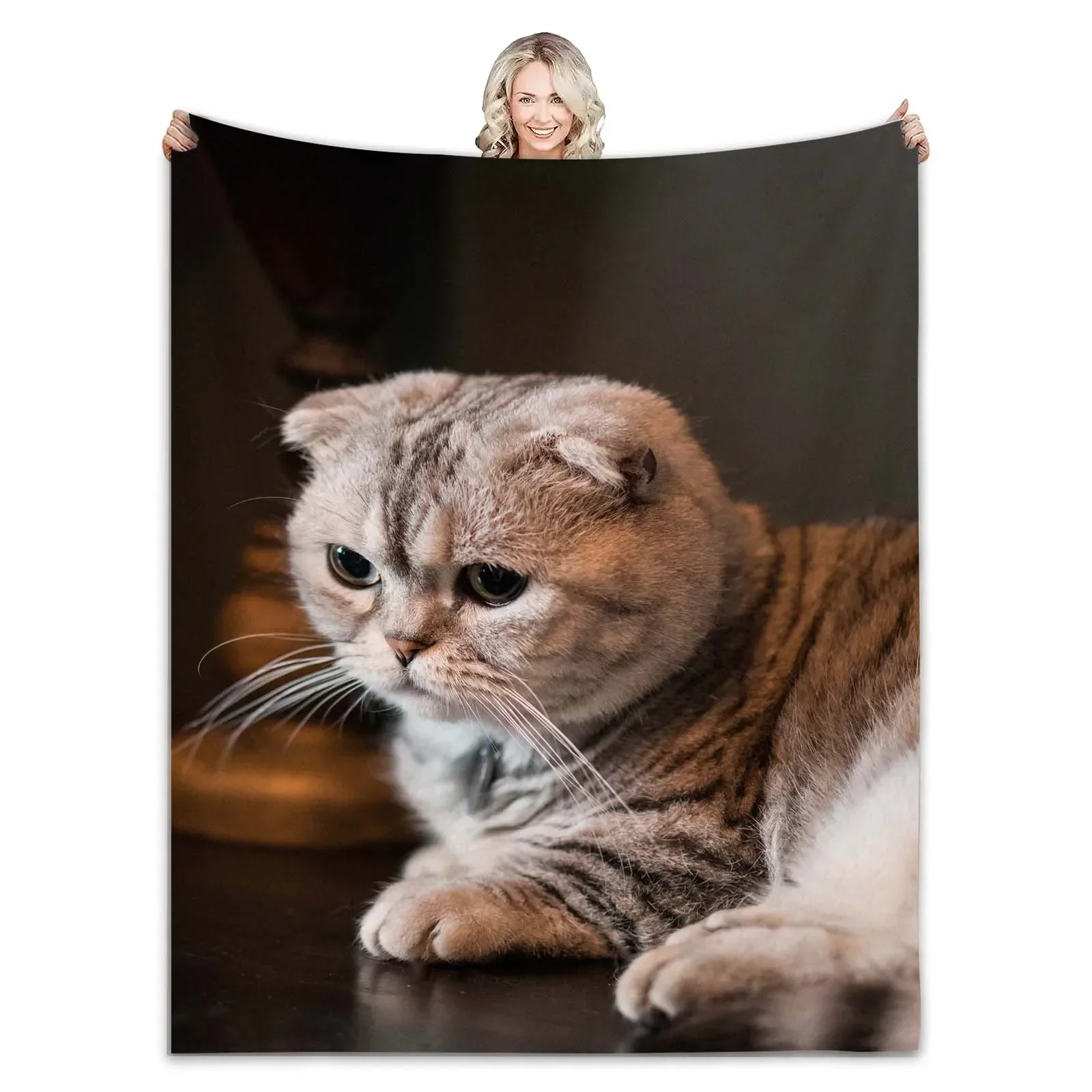 1pc Cozy Cat Print Soft Blanket - Skin-Friendly, Casual, and Versatile Shawl for Sofa, Living Room, and Outdoor