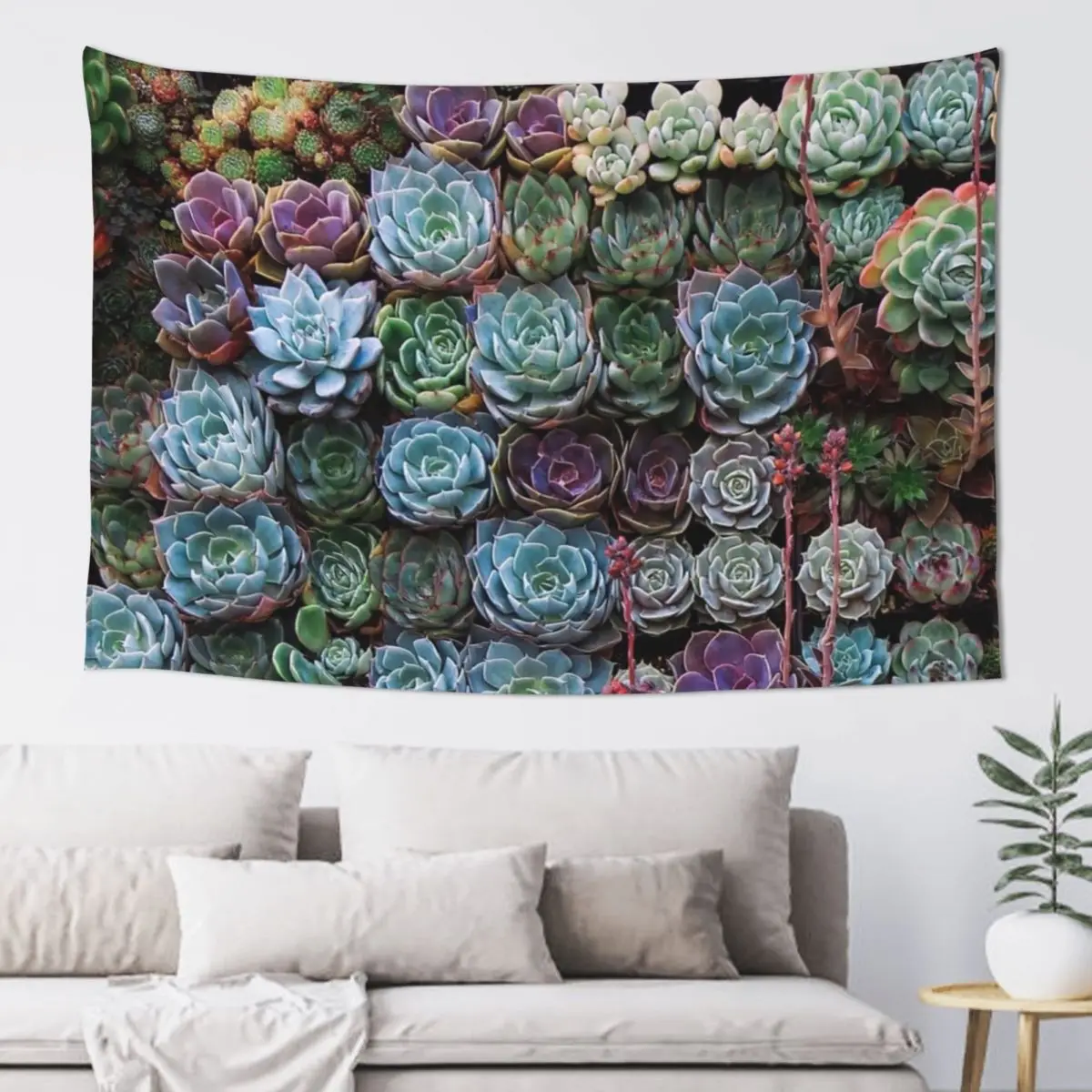 

A Gathering Of Succulents II Succulent Plants Tapestry Outdoor Decoration Decoration For Bedroom Tapestry