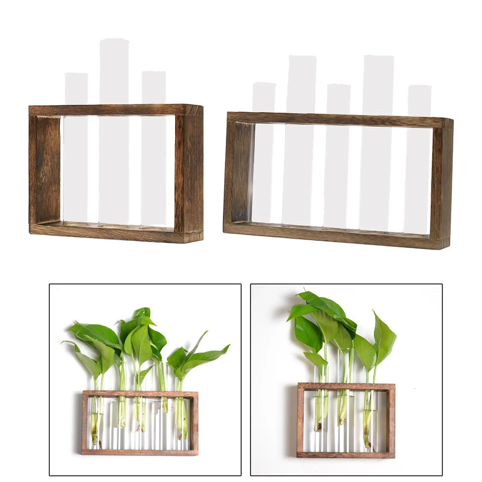 Glass Test Tube Vase Set Wall Mounted Wood Holder for Pothos Propagation Station Herbs and Small Flowers