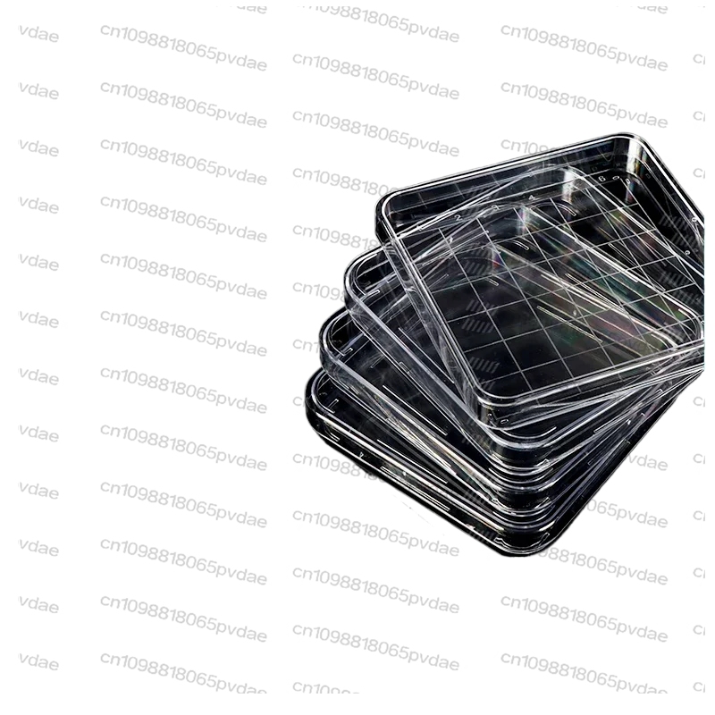 1pcs Plastic Disposable, Square Petri Dish 10 -10cm 13 - 13cm 24 -24cm