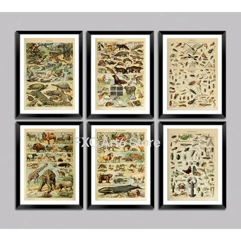 1PCS Frameless Vintage Adolphe Millot Encyclopedia Posters Prints Mammals Reptiles Insect Canvas Paintings Wall Art Picture Home