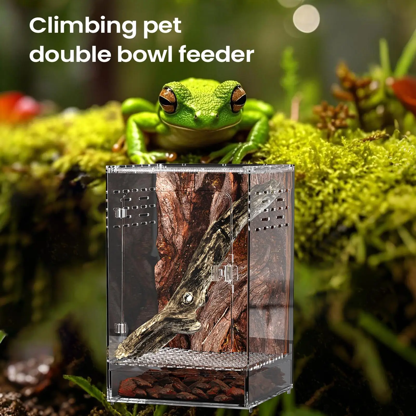 Acrylic Terrarium Habitat Box 3