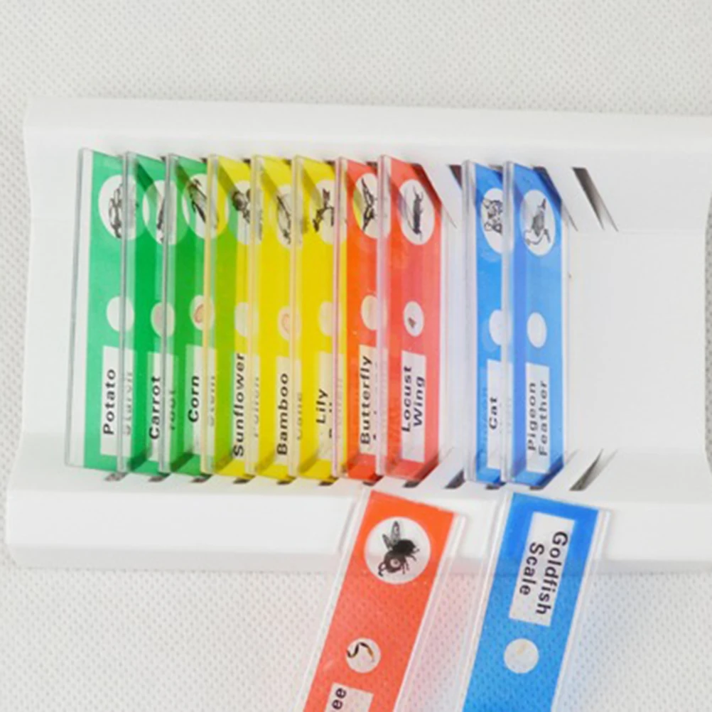 

12pcs Plastic Biological Specimen Microscope Slides For Kids Students Entomology Botany Mammology Colorful Safe Learning