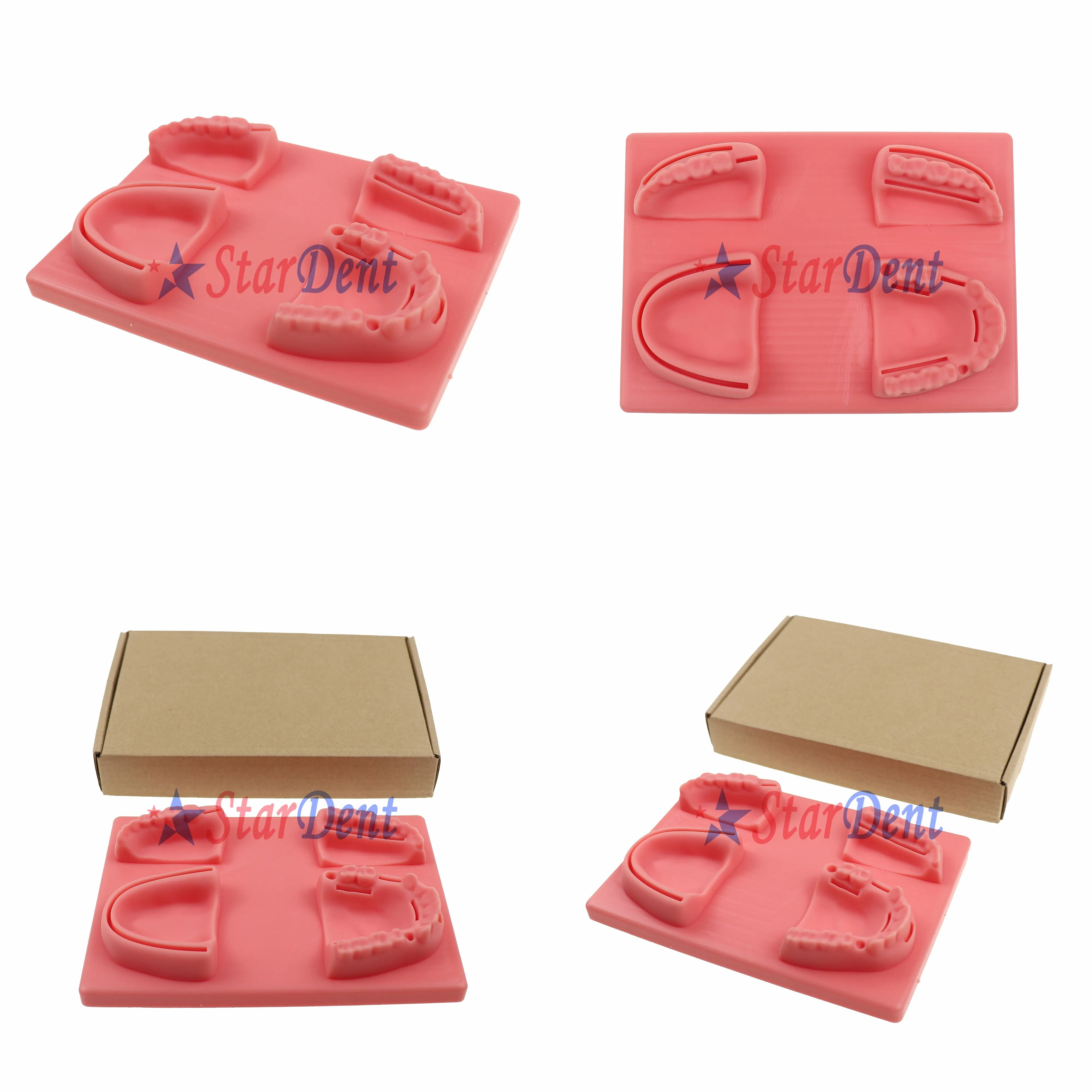 Dentals Silicone Oral Suturing Practice Model - Gum Teaching Module for Dentist