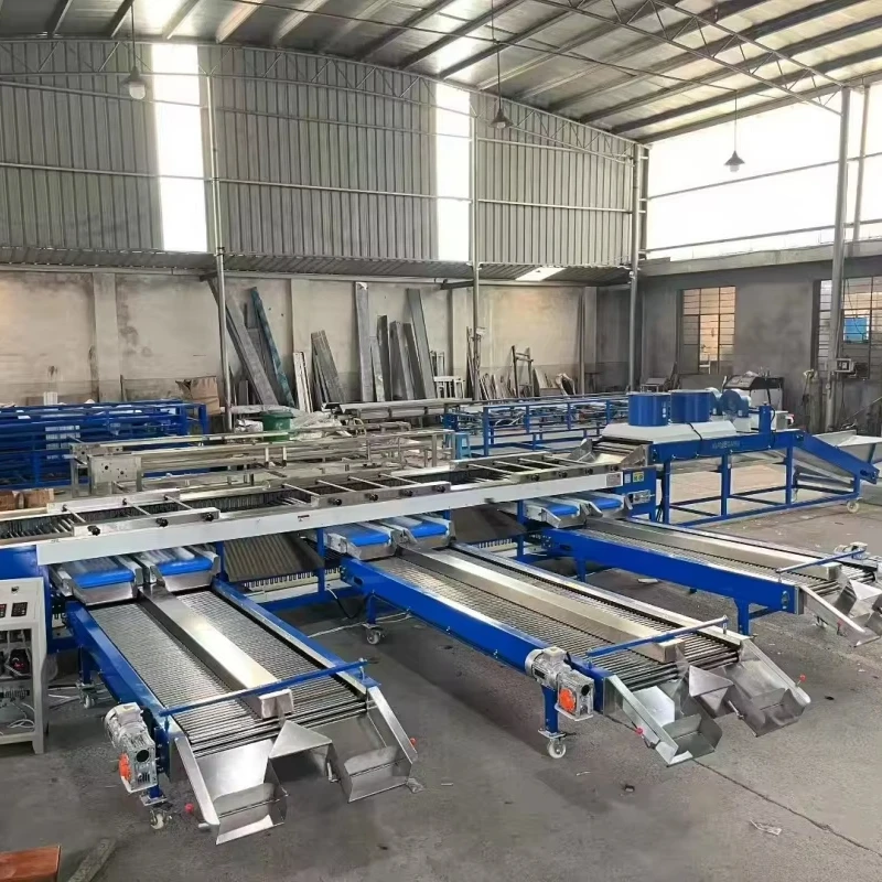 6 Ton/h Mini Potato Onion Sweet Potato Grader Sorting Selecting Machine
