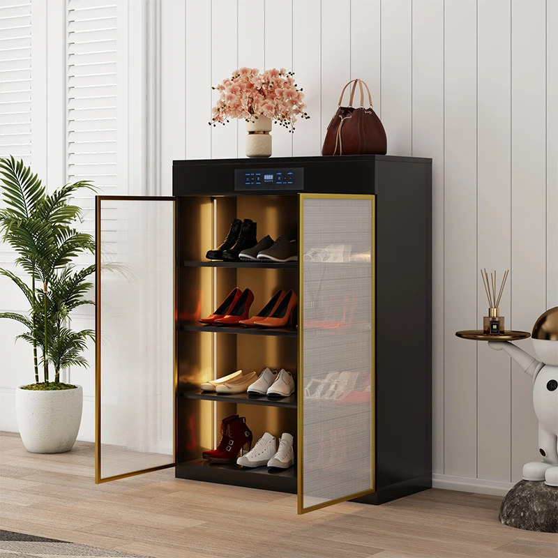 Smart shoe cabinet: deodorization, sterilization, household entry, modern simple light luxury, wire-lined glass shoe cabinet