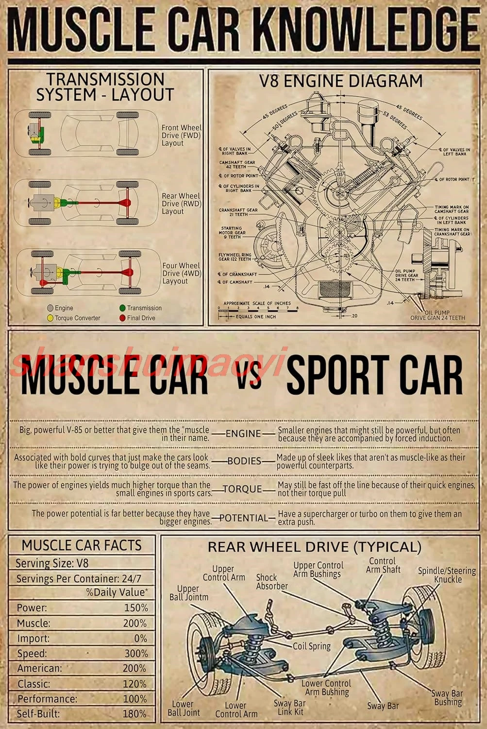 Plaque en métal "Muscle Car Knowledge" : Muscle Car vs Sport Car, affiche amusante pour école, club, man cave, garage, café, salon, enseignement