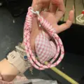 Pink love