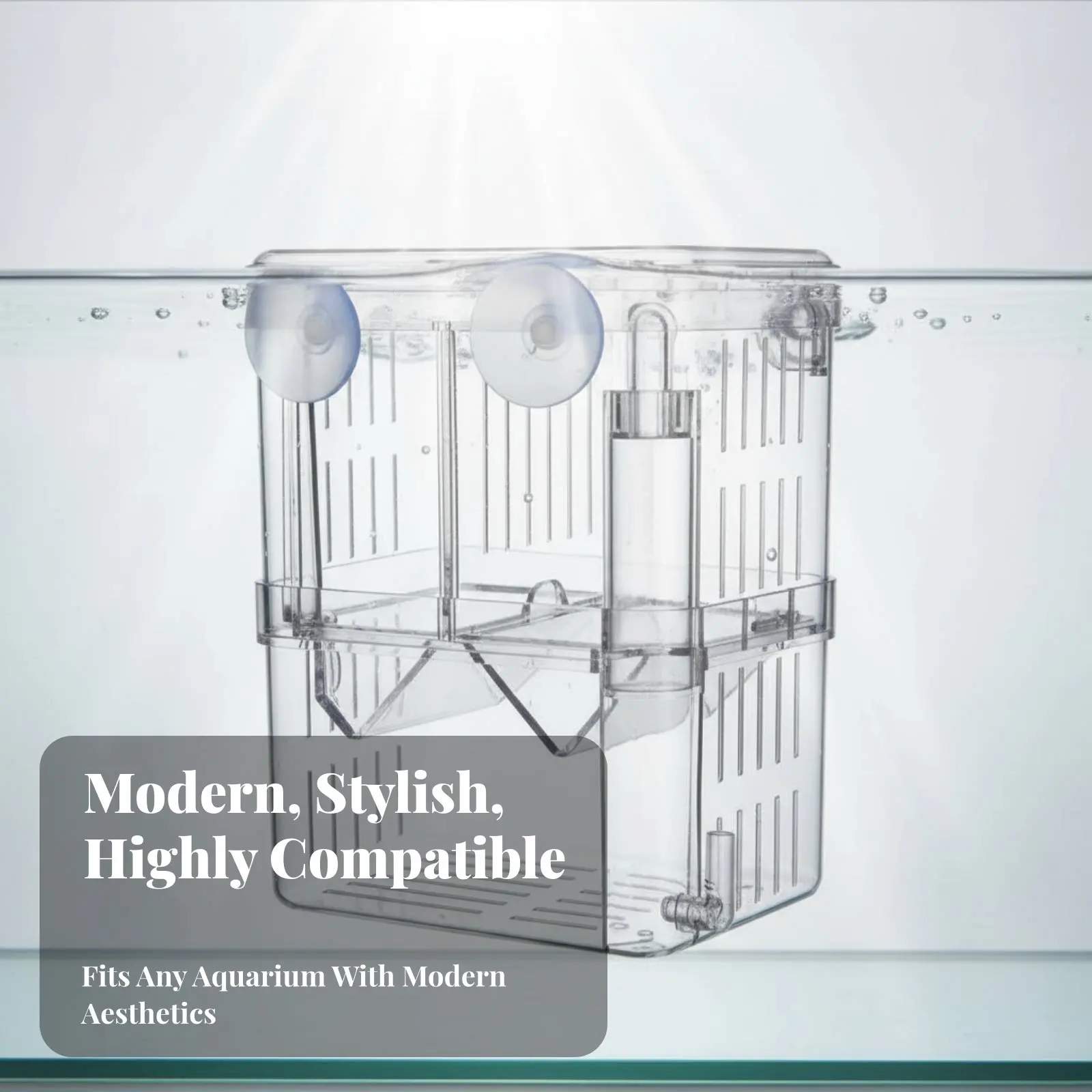 Picture 7: Aquatic Fry Separation Box Thickened and Sturdy Aquatic Breeding Box Buoyant Fry Hatchery Multifunctional Guppy Breeding