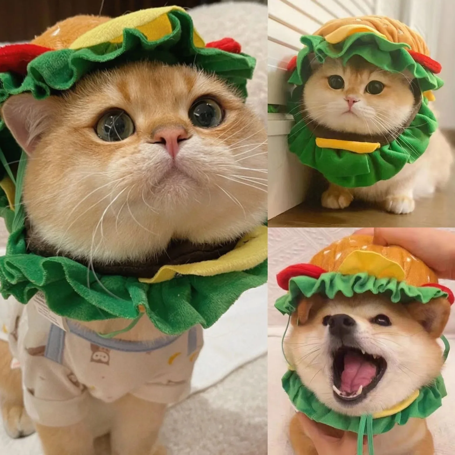 Cat Headgear Dog Pet Burger Hat Cute Cross Dressing Hat Photo Prop Dogs Accessoires Puppy Accessories