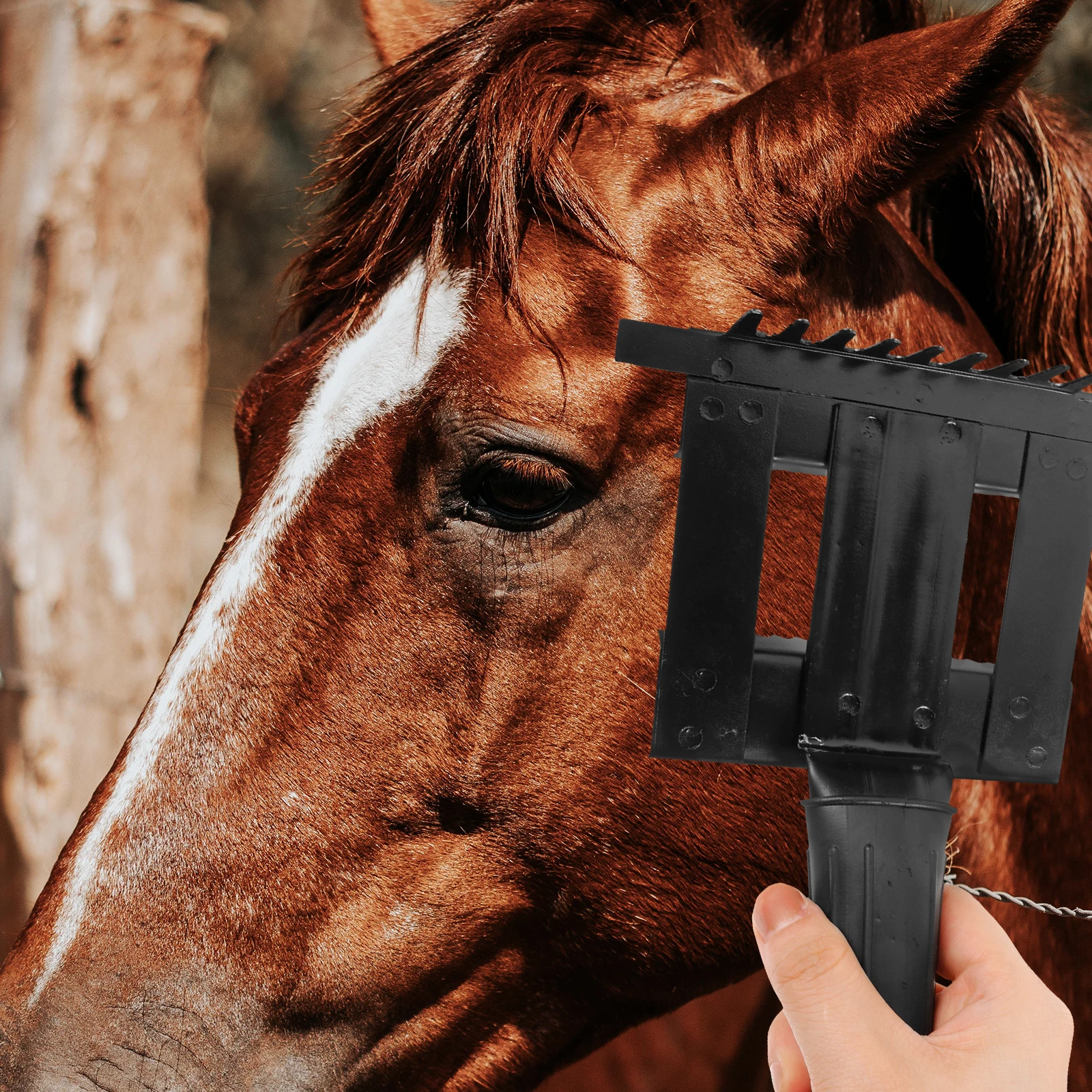

Pet Comb Rake Cleaning Tool Metal Broom for Dogs Horses Black Thick Anti Slip Handle Grooming Supplies Pet Accessories Horse