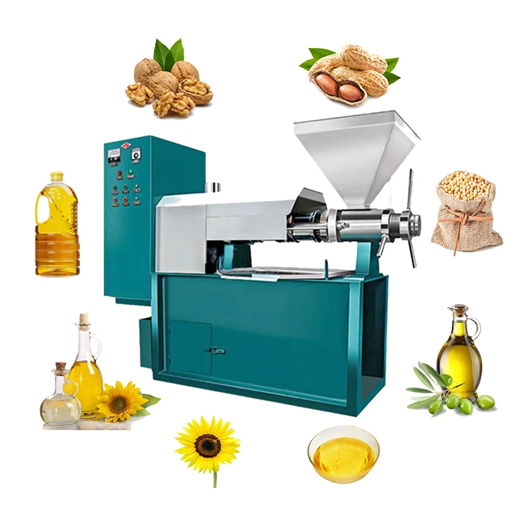Household Extra Virgin Olive Oil Extractor Coconut Oil Extractor with Oil Filter