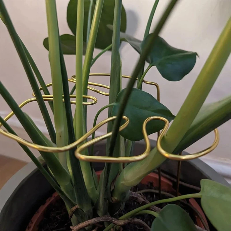 ABRE-Monstera Shaped Plant Support Reusable Sturdy Alloy Plant Stem Support Holder Plant Retaining Support Herbs Vegetables