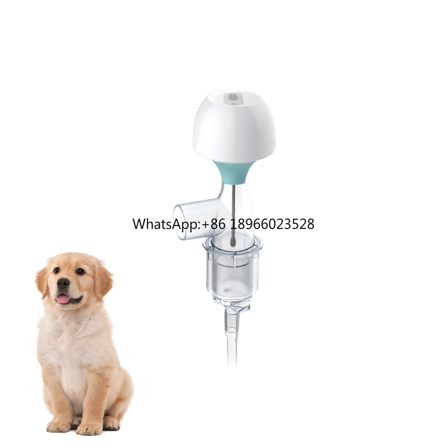 Pet Apnea Sensor Monitor Pet Breathing Safe Respiratory Monitor Apnea Alert Alarm