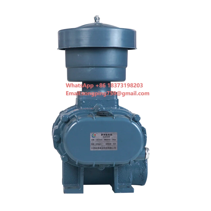 

Промышленный воздуходувный насос Рутса 4 кВт с низким уровнем шума и длительным сроком службы для рыбоводческих хозяйств