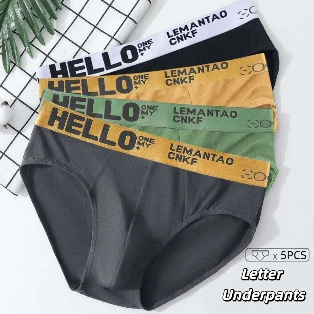 

5PCS Breathable Low Waist Men Thin Panties Male Lingerie Elastic Underwear for Men Briefs Letter Underpants Male