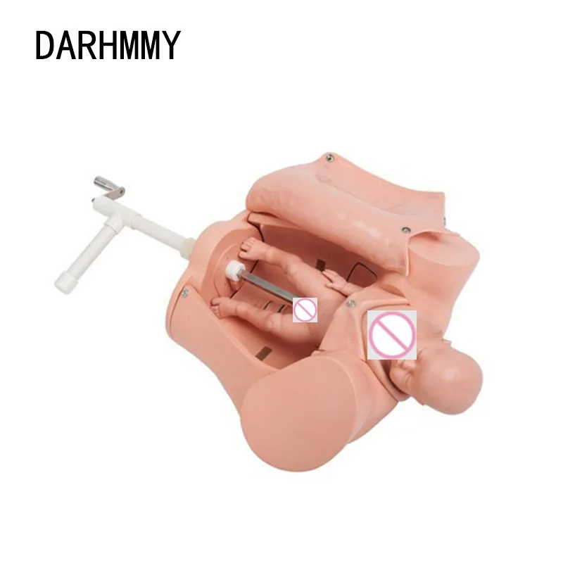 

DARHMMY Giving Birth Model Childbirth Skill Training Model Advanced Midwifery Training Simulator Model for Nursing Medical