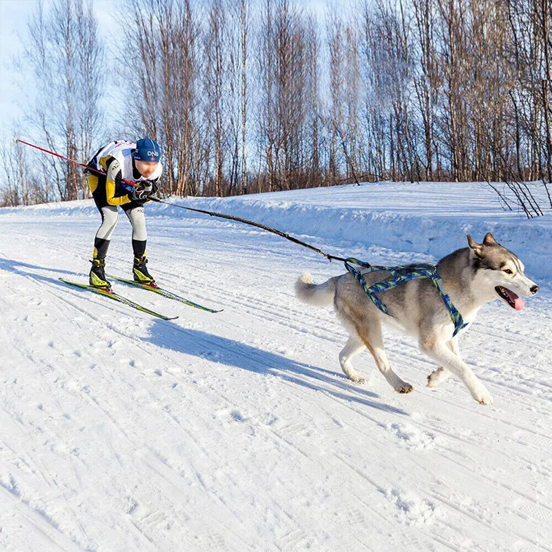 Dog Sled Harness Adjustable Big Dog Weight Pulling Harness Pet Sleding Harness For Medium Large Dogs Husky Skijoring