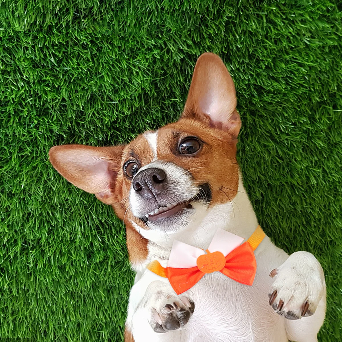 

5Pcs Halloween Dogs Ties Pets Bowknot Neck Collar Set Adjustable Breathable for Party and Christmas Dogs Ties Pets Neck Tie