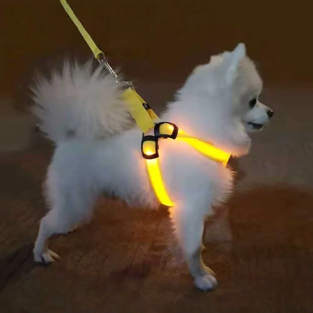 Thumbnail 3 - #2 New LED Dog Collars Arrivals