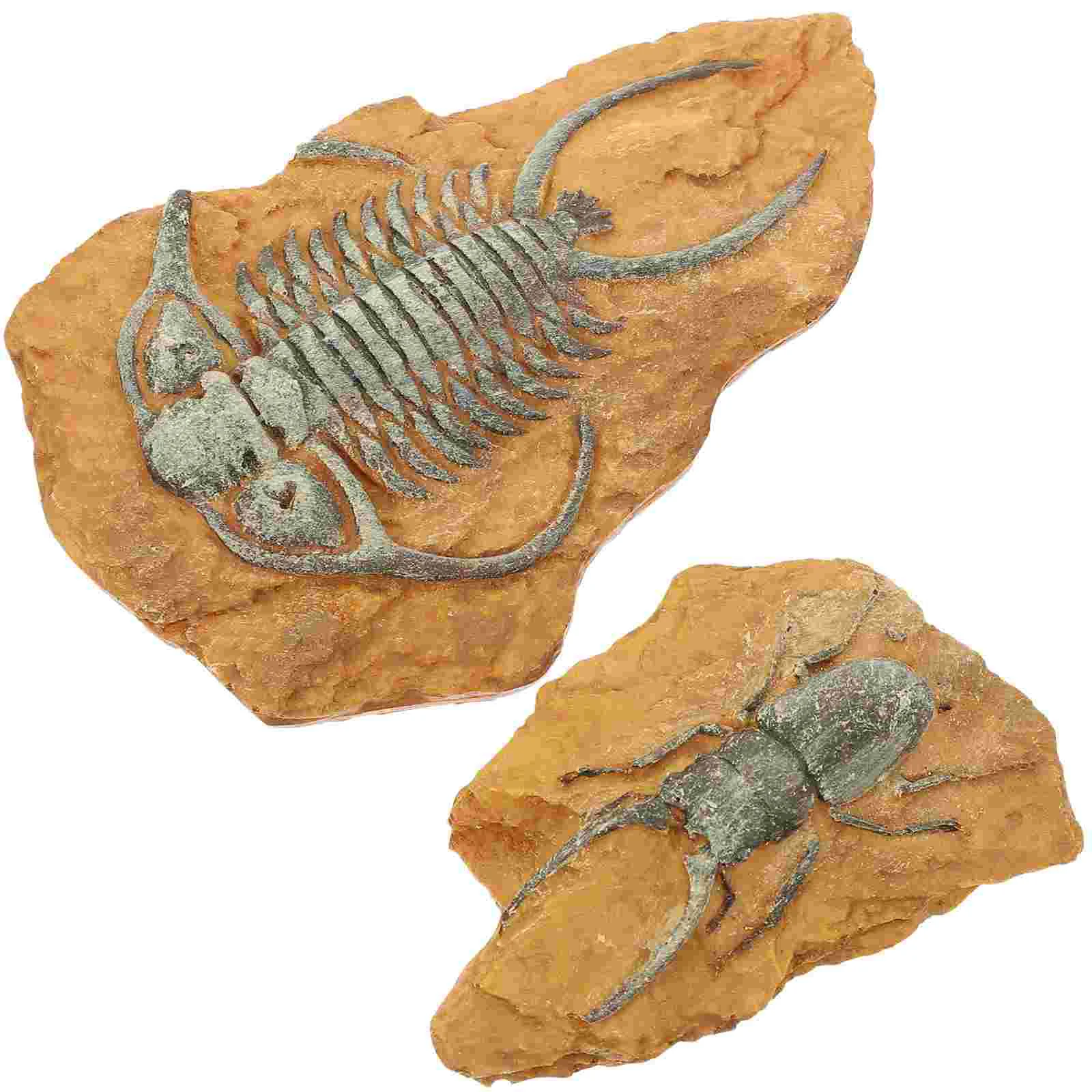 

2 Pcs Simulated Resin Fossil Decorative Landscape Ornaments Creative Reptile Decors Lizard Simulation Terrarium for Home