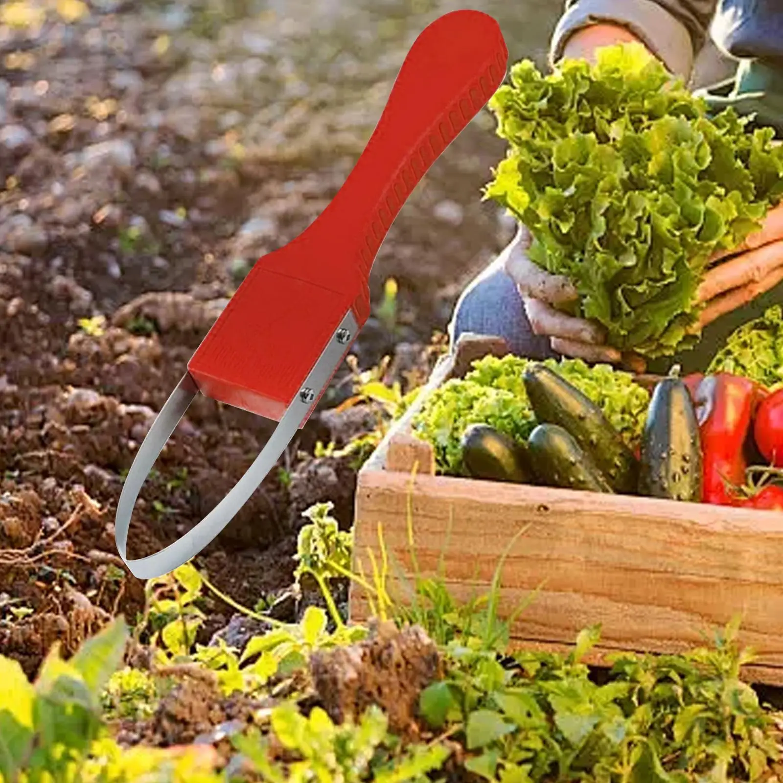 Outil de désherbage manuel de jardin, désherbeur à main, outil de traction de mauvaises herbes de qualité supérieure PP, scarification, désherbage manuel, bêche, tondeuse pour terres agricoles