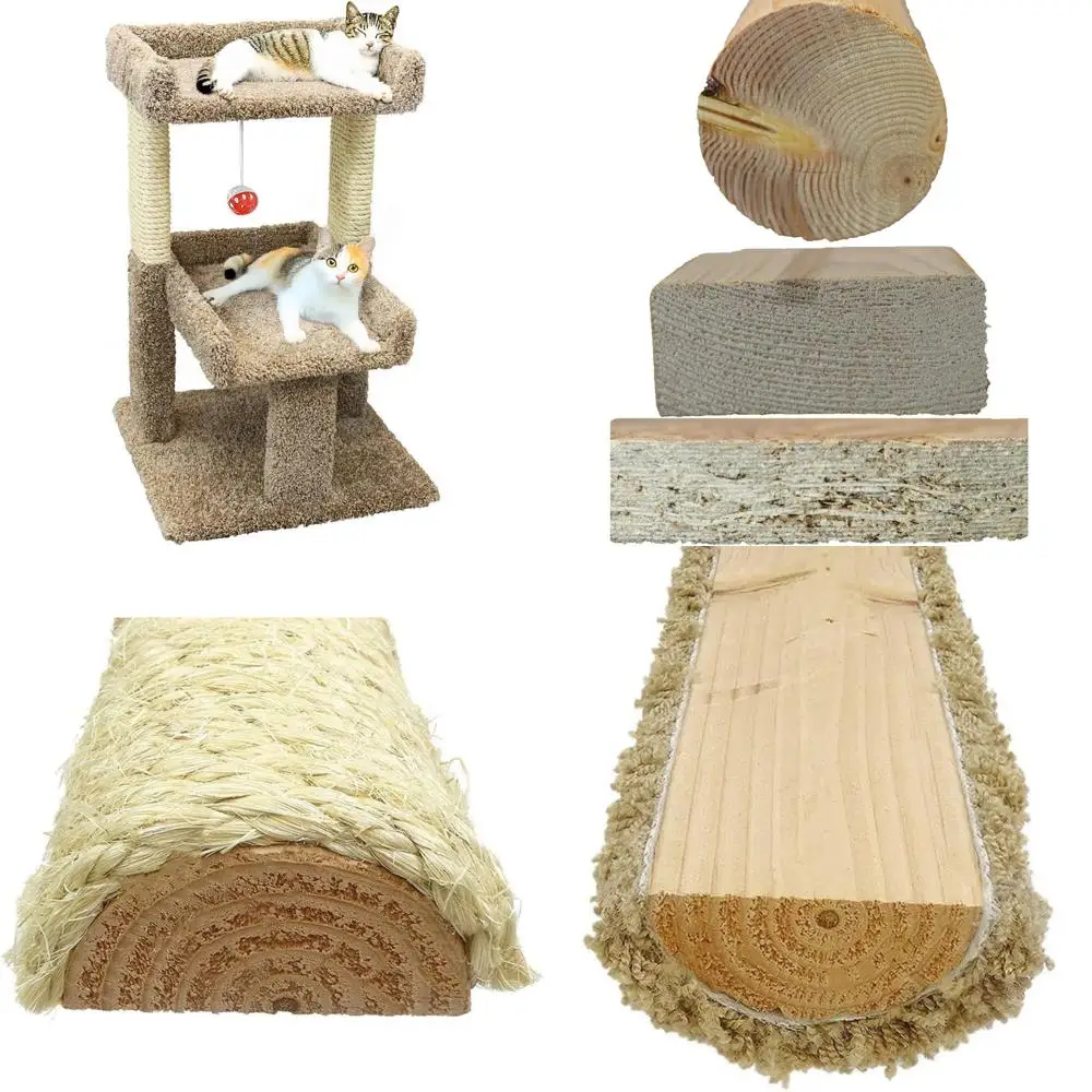 منصة لعب مرتفعة للقطط ذات كوندوس واسعة