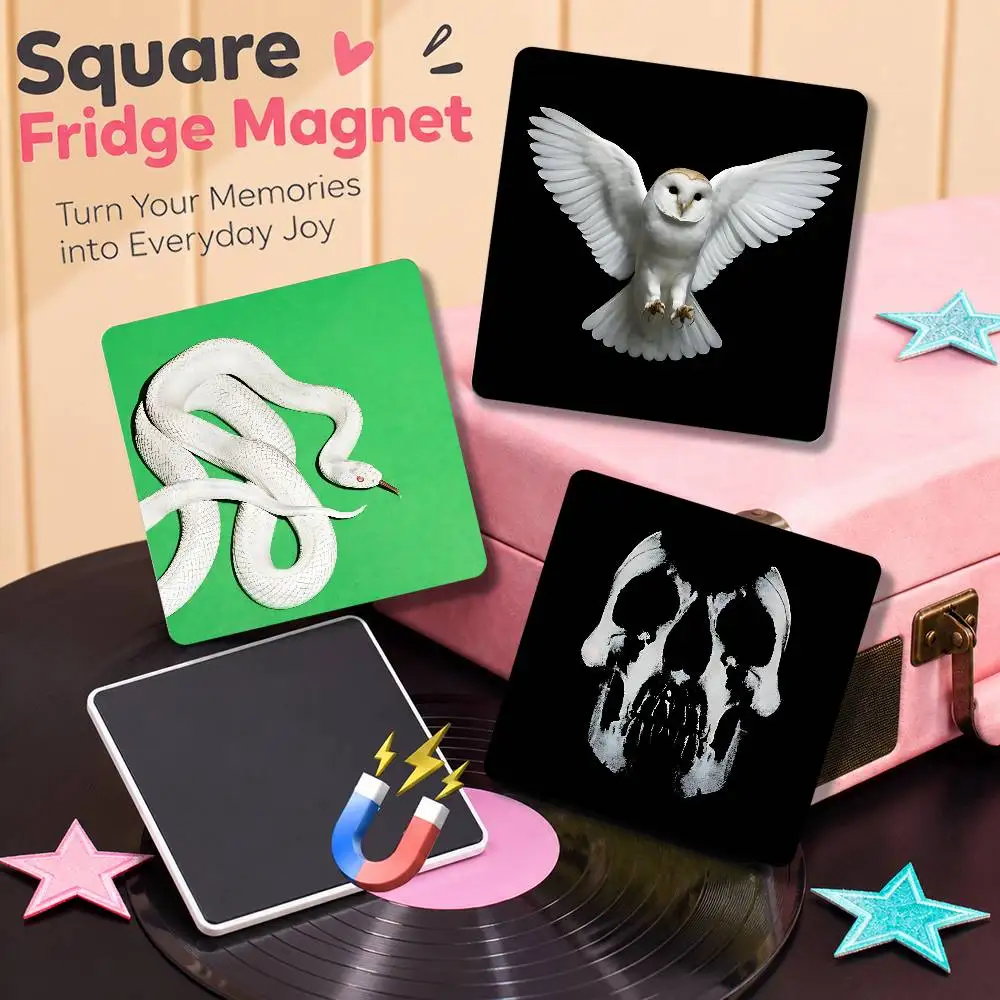 For Deftones Magnetic Refrigerator Magnets Cute And Creative Refrigerator Magnets Souvenirs And Gifts
