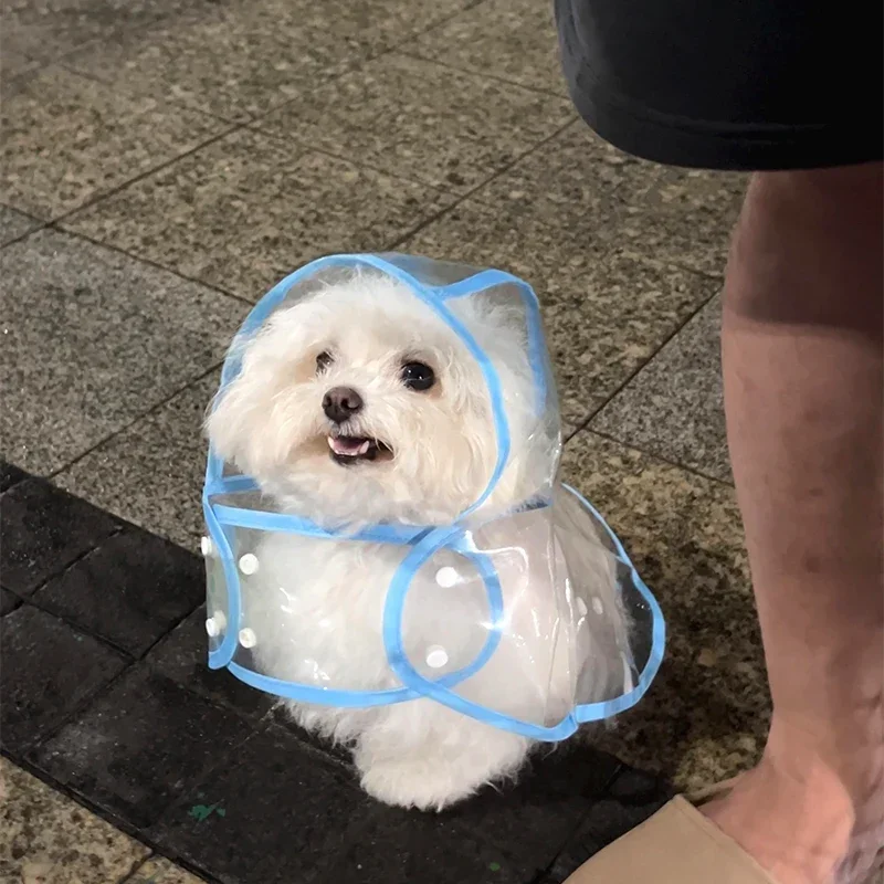 Dog Raincoat Small Dog Poncho Pet Raincoat Waterproof Teddy Bichon Pomeranian Schnauzer Shiba Maltese