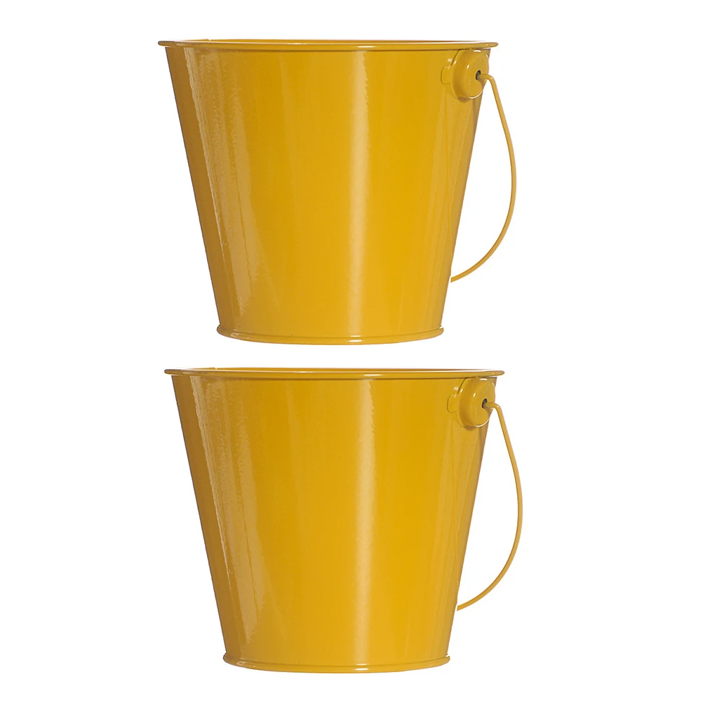

2 Pcs Tinplate Flower Bucket Rustic Mini Storage Containers Kids Vase Garden Supplies Bedroom Living Room Balcony Decor Home