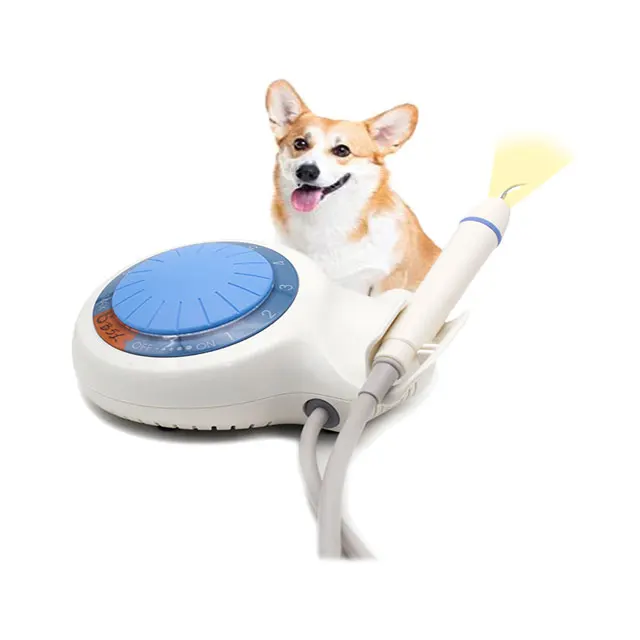 Portable Vet Dental Scaler With LED
