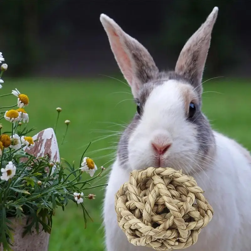 Big Discoun t Natural Straw Ball Small Pet Chewing Toy Pet Playing Rabbit Hamster Chewing Toy Teeth Cleaner Pet Teeth Cleaning