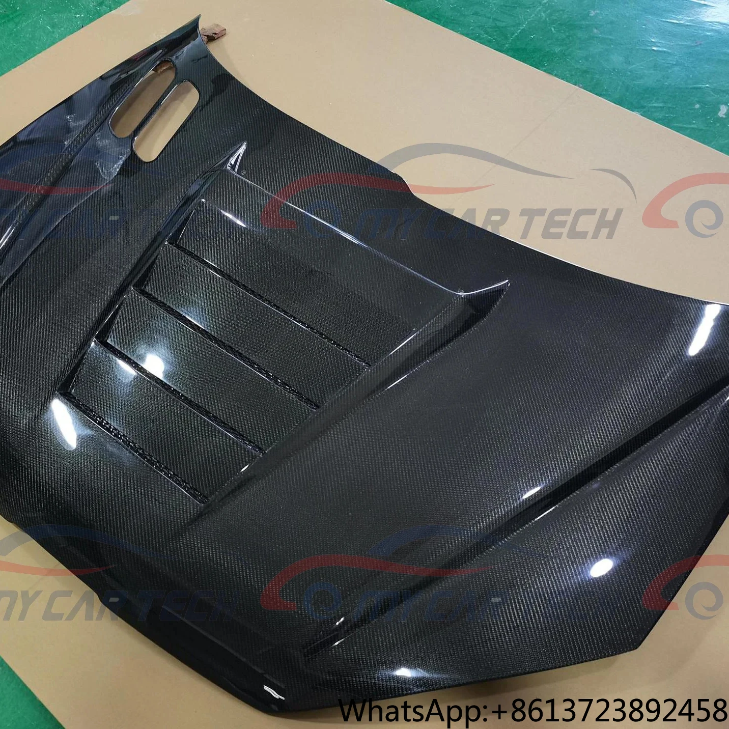 

Carbon Fiber Hood for 206VF peugeot
