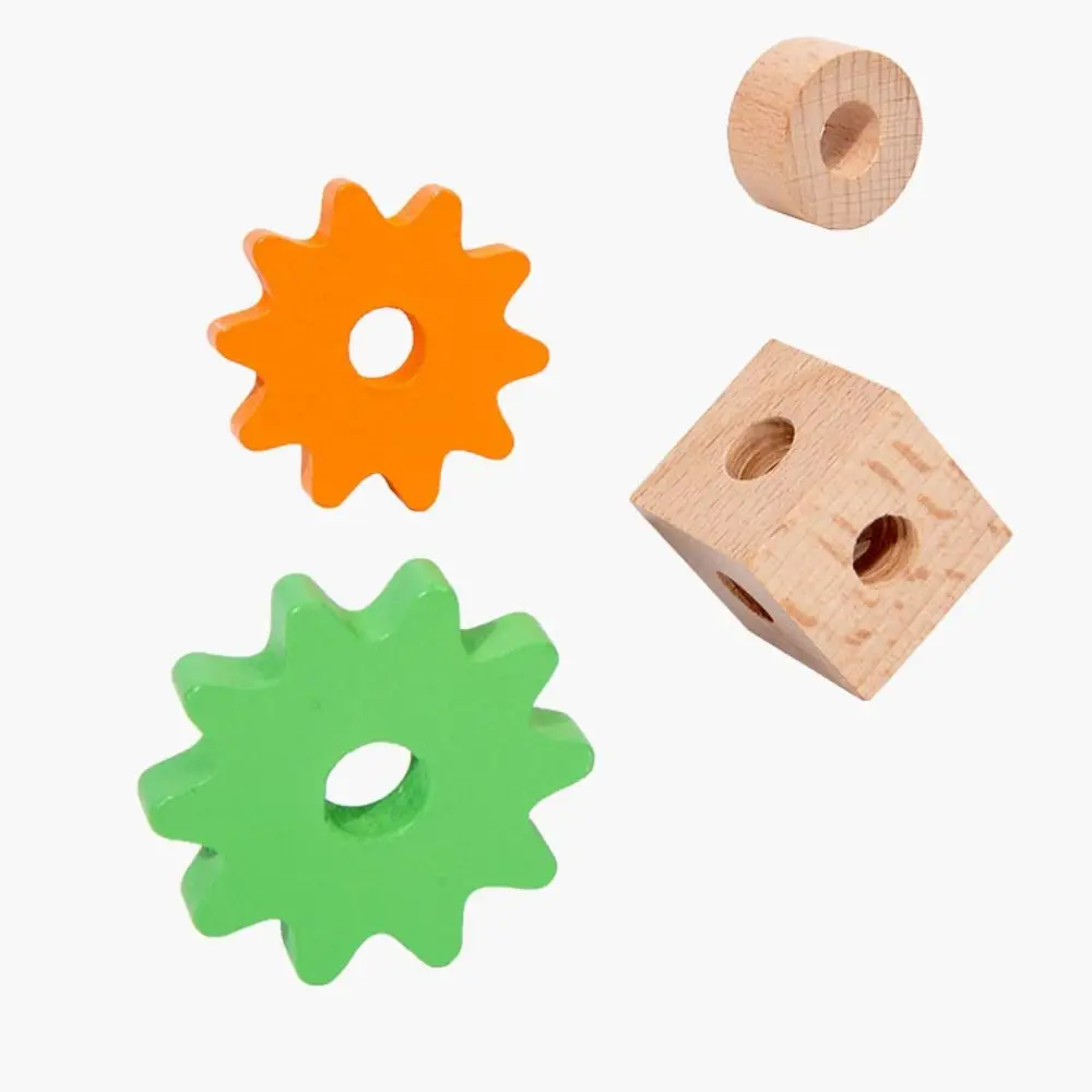 wood-puzzle-nut-assembly-montessori-toolbox-detachable-screwdriver-assembly-car-puzzle-pretend-play-tools-nut-screw-disassembly