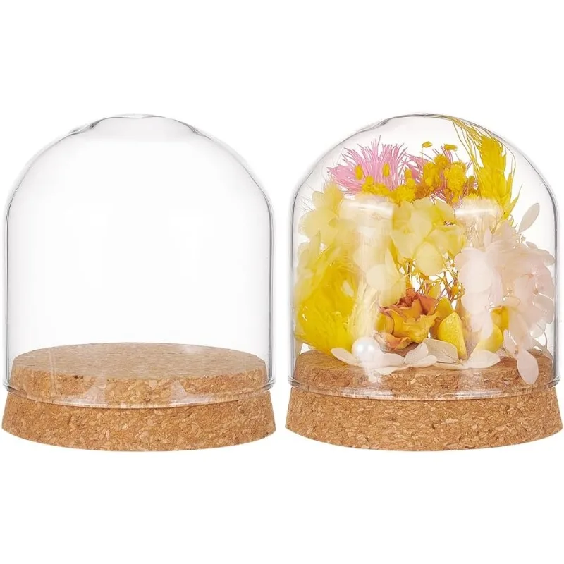 

2 Set Glass Display Dome with Cork Base 3.1x2.8 inch Tabletop Centerpiece Cloche Bell Jar for Flower Plants Specimens Crafts