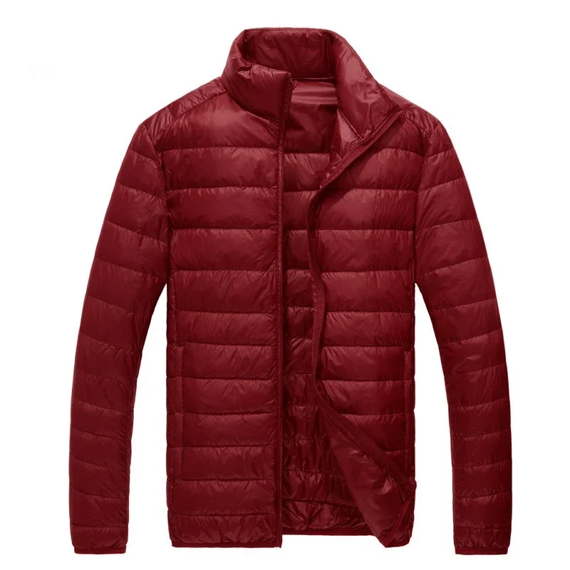 Chaqueta de plumón de pato blanco de alta gama para hombre, abrigo de plumón, Color sólido, Delgado, informal, marca de otoño