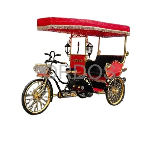 Electric tricycle for passenger sightseeing tuktuk rickshaw touring for historical city  royal wedding horse drawn carts