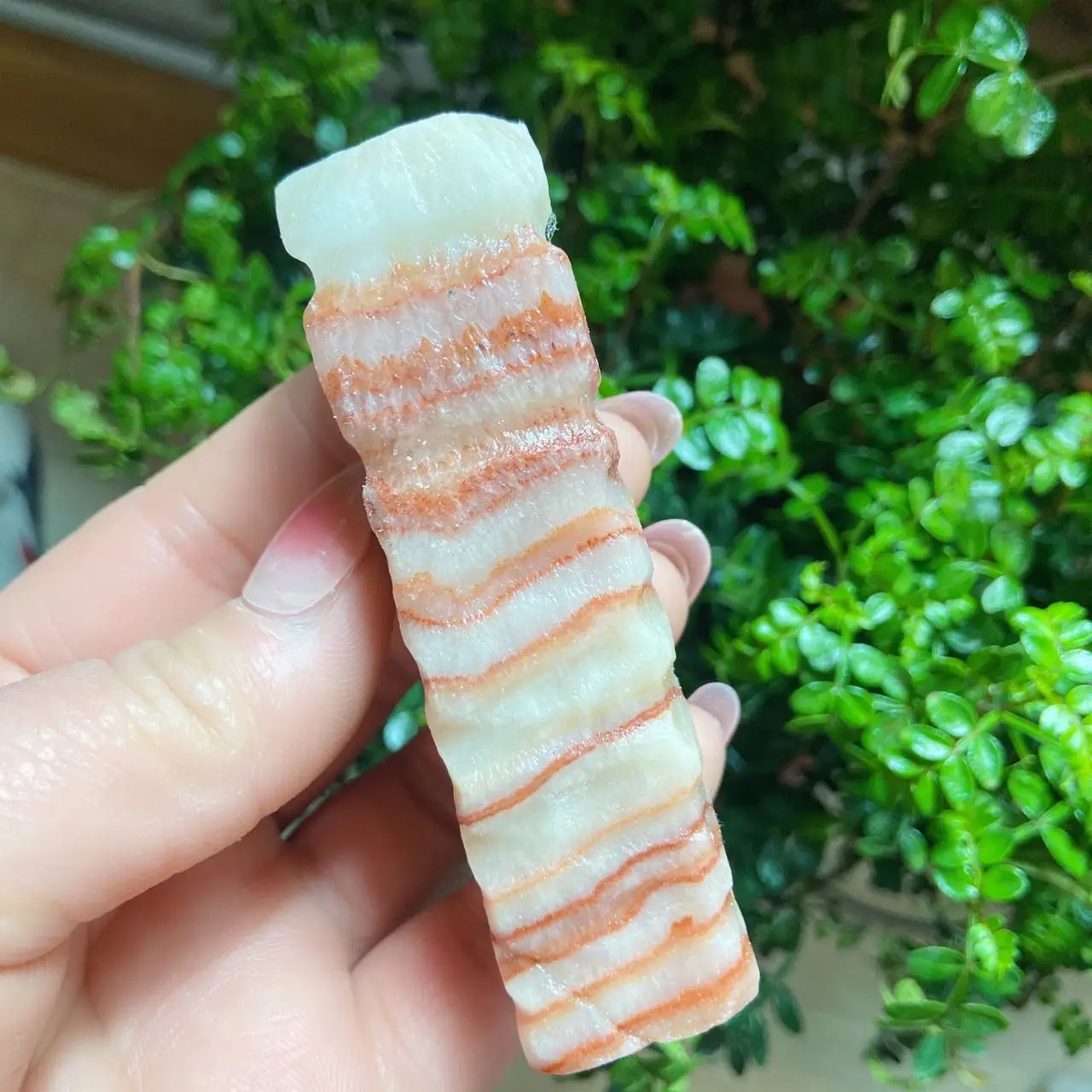 1pcs 7-8cm Natural Quartz Stone Meat Stones Pork Belly Bacon Stone Collection Gift