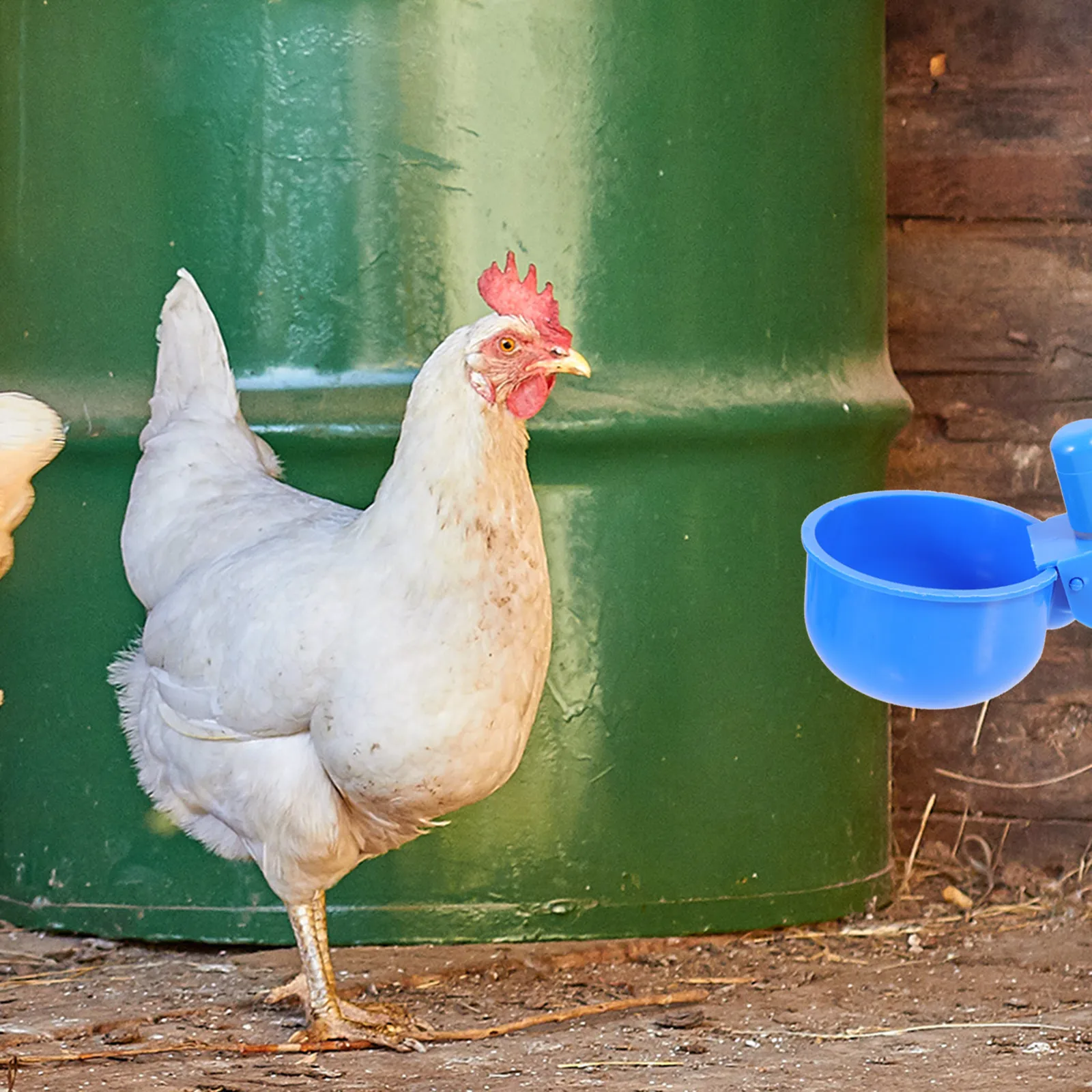 

12Pcs Automatic Chicken Waterer Heavy-Duty Plastic Poultry Water Feeder for Chickens Turkeys Ducks Farm Backyard Large