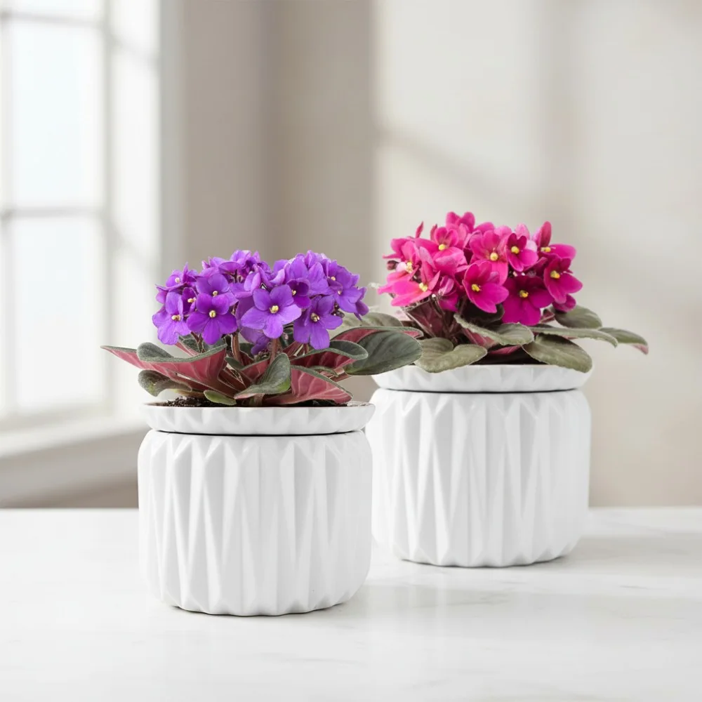 

6 Inch Self Watering Ceramic Plant Pot for African Violets Indoor Plants, 3 Week Water Supply (2 Pack White)